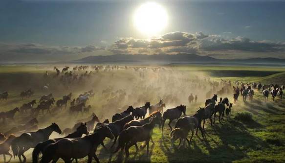 88d1f35294eaf95e3d5124624917e1b