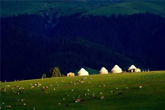 2d3bb618b5d7f6b52dea7b235db3716