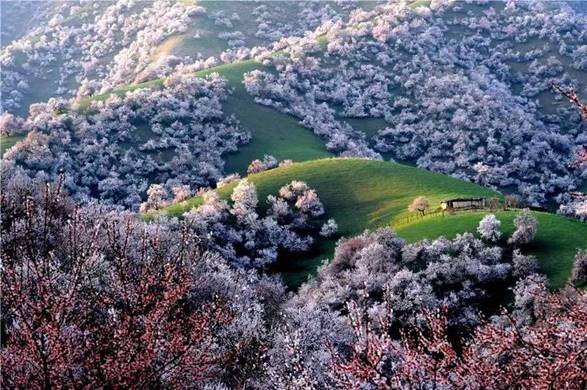 7fe89935a4d42744abbcd9c1aeb0a27